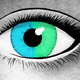 Illustration for article titled One Person, Two Sets of DNA: The Strange Case of the Human Chimera